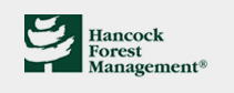 Hancock forestry